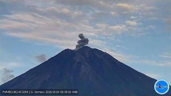 Gunung Semeru Erupsi 7 Kali, Warga Diimbau Perhatikan Jarak Aman Gunung Semeru Erupsi 7 Kali, Warga Diimbau Perhatikan Jarak Aman