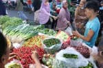 Harga Pangan Jelang Ramadan: Bawang, Cabai, dan Minyak Kompak Naik Harga Pangan Jelang Ramadan: Bawang, Cabai, dan Minyak Kompak Naik
