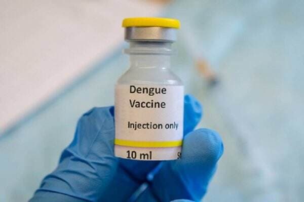 Harga Vaksin Demam Berdarah Dengue Mulai Rp700 Ribu per Dosis