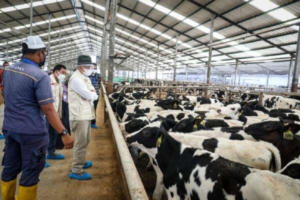 Hari Susu Sedunia 2025, FFI Gandeng IPB Dorong Generasi Muda Wujudkan Ketahanan Pangan Hari Susu Sedunia 2025, FFI Gandeng IPB Dorong Generasi Muda Wujudkan Ketahanan Pangan