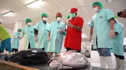 Hari Tuna Sedunia, KKP Akan Tingkatkan Kualitas dan Jangkauan Pasar Tuna Indonesia