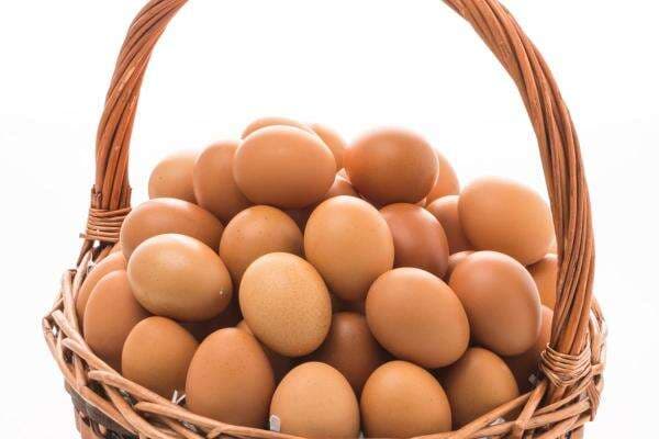Hindari Junk Food, Ini 5 Makanan Tinggi Protein untuk Menu Sehari-hari Hindari Junk Food, Ini 5 Makanan Tinggi Protein untuk Menu Sehari-hari