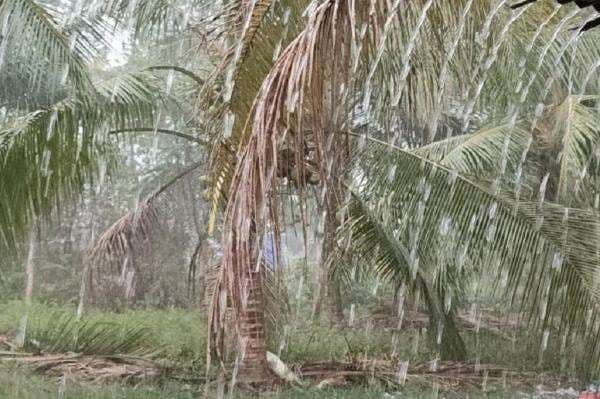 Usai Doa Bersama Hujan Deras Guyur Rokan Hulu, Warga dan Petugas Harap Karhutla Padam Usai Doa Bersama Hujan Deras Guyur Rokan Hulu, Warga dan Petugas Harap Karhutla Padam