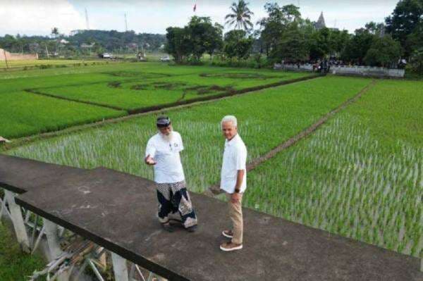 Idolakan Ganjar, Seniman Pari Corek di Semarang Gambar Sawah Berwajah Ganjar-Mahfud Idolakan Ganjar, Seniman Pari Corek di Semarang Gambar Sawah Berwajah Ganjar-Mahfud