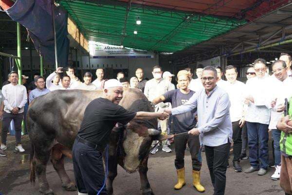 Idul Adha 1446 H: Pegadaian Berbagi Ratusan Hewan Kurban untuk Masyarakat Idul Adha 1446 H: Pegadaian Berbagi Ratusan Hewan Kurban untuk Masyarakat