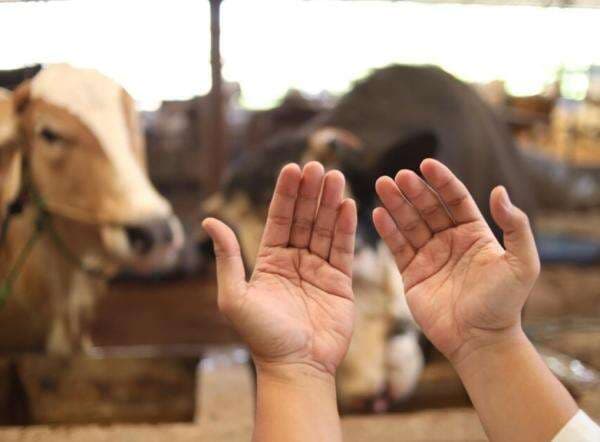 Berapa Hari Tasyrik setelah Idul Adha 2025? Simak Jadwal dan Amalannya Berapa Hari Tasyrik setelah Idul Adha 2025? Simak Jadwal dan Amalannya