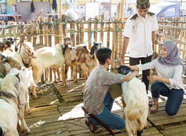Fenomena PHK jadi Biang Kerok Anjloknya Jumlah Pekurban di RI Tahun Ini Fenomena PHK jadi Biang Kerok Anjloknya Jumlah Pekurban di RI Tahun Ini