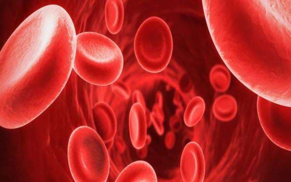 Peneliti Prancis Temukan Golongan Darah Baru, Dinamakan Gwada Negatif Peneliti Prancis Temukan Golongan Darah Baru, Dinamakan Gwada Negatif