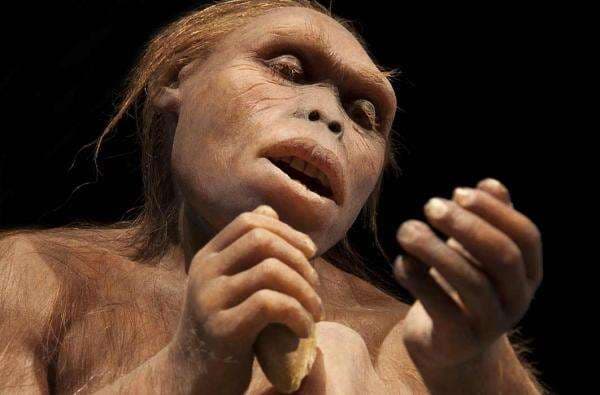 Penelitian Ungkap Semua Manusia Berasal dari Seorang Wanita, Bukti Adanya Hawa? Penelitian Ungkap Semua Manusia Berasal dari Seorang Wanita, Bukti Adanya Hawa?