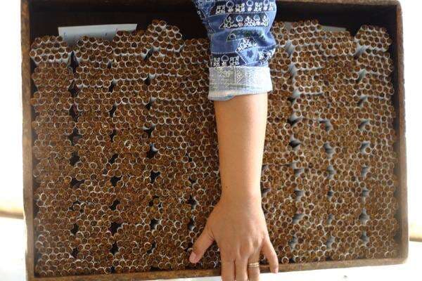 Industri Tembakau Kontraksi Dalam, Serikat Pekerja Serukan Moratorium Cukai Industri Tembakau Kontraksi Dalam, Serikat Pekerja Serukan Moratorium Cukai