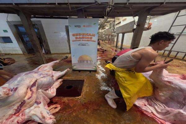 INH-Relawan Nusantara Gelar Program Sedekah Daging untuk Pengungsi Gaza INH-Relawan Nusantara Gelar Program Sedekah Daging untuk Pengungsi Gaza