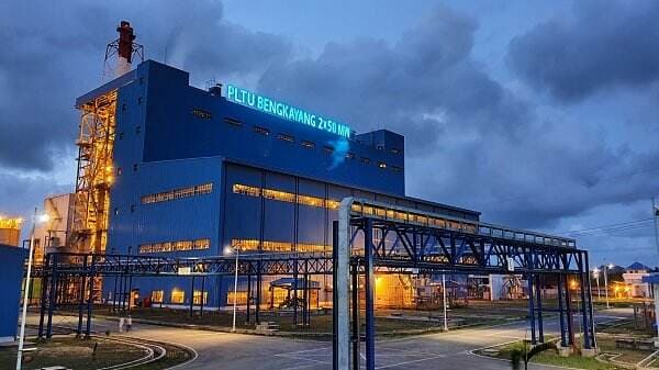 Ini Sumber Biomassa Pengganti Batu Bara untuk Energi PLTU Ini Sumber Biomassa Pengganti Batu Bara untuk Energi PLTU