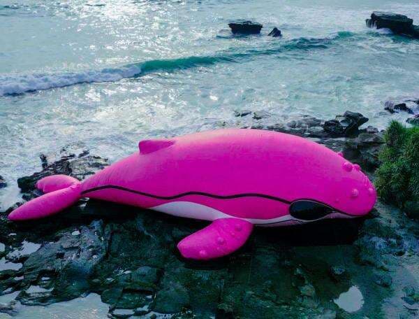 Penampakan Paus Pink ‘Terdampar’ di Tanah Lot, Ternyata Bawa Pesan Ini Penampakan Paus Pink ‘Terdampar’ di Tanah Lot, Ternyata Bawa Pesan Ini