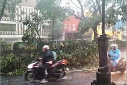 Jalan Margonda Depok-Jakarta Tersendat Imbas Pohon Tumbang karena Hujan Disertai Angin
