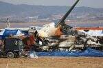 Janggal, Pakar Ragu Serangan Burung Penyebab Tunggal Tragedi Jeju Air Tewaskan 179 Orang Janggal, Pakar Ragu Serangan Burung Penyebab Tunggal Tragedi Jeju Air Tewaskan 179 Orang