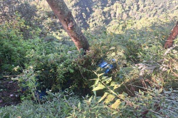 Jeep Rombongan Wisatawan Gunung Bromo Terjun ke Jurang, 8 Penumpang Luka-luka Jeep Rombongan Wisatawan Gunung Bromo Terjun ke Jurang, 8 Penumpang Luka-luka