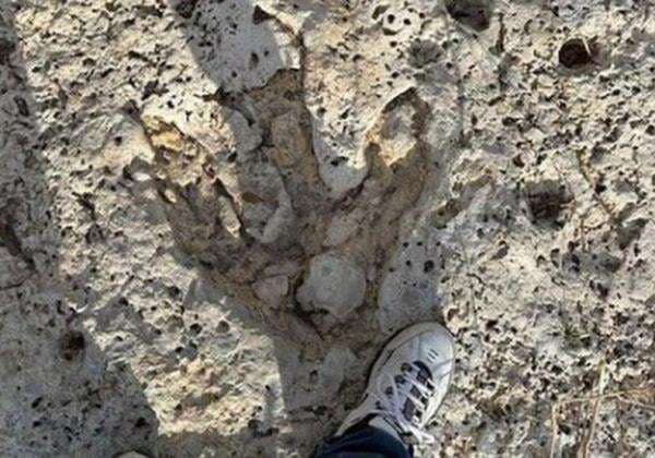 Usai Banjir Bandang Tewaskan 135 Orang di Texas AS Muncul Jejak Kaki Dinosaurus Usai Banjir Bandang Tewaskan 135 Orang di Texas AS Muncul Jejak Kaki Dinosaurus