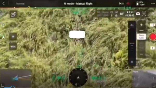 Pendaki Tewas Jatuh di Gunung Saeng Bondowoso Ditemukan di Jurang Sedalam 150 Meter Pendaki Tewas Jatuh di Gunung Saeng Bondowoso Ditemukan di Jurang Sedalam 150 Meter