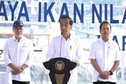 Jokowi Soroti 78.000 Hektare Tambak Udang di Sepanjang Pantura Jawa Tak Terpakai