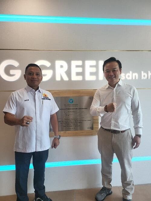 Bidik Kerja Sama Bioenergi dan Karbon Kredit, Kadin Pelajari Pengembangan Paulownia di Sarawak Bidik Kerja Sama Bioenergi dan Karbon Kredit, Kadin Pelajari Pengembangan Paulownia di Sarawak