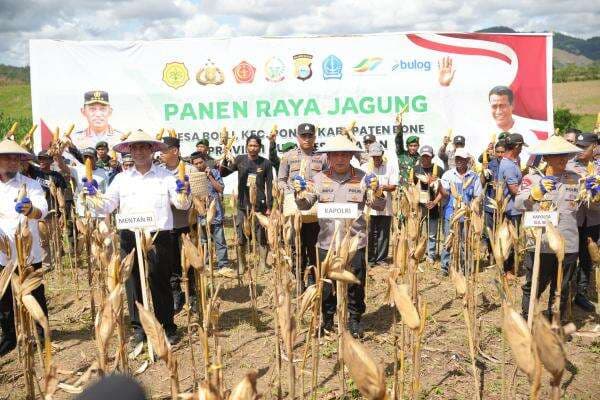 Kapolri-Mentan Panen Raya Jagung di Bone, Dukung Program Ketahanan Pangan Nasional Kapolri-Mentan Panen Raya Jagung di Bone, Dukung Program Ketahanan Pangan Nasional