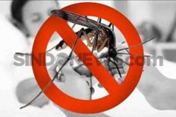 Kasus Chikungunya di Singapura Melonjak, Berikut 5 Cara Efektif Mencegah Penularannya Kasus Chikungunya di Singapura Melonjak, Berikut 5 Cara Efektif Mencegah Penularannya