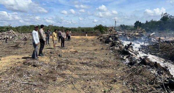 Polisi Tangkap Pria Paruh Baya Pembakar Lahan di Kuantan Singingi Riau Polisi Tangkap Pria Paruh Baya Pembakar Lahan di Kuantan Singingi Riau