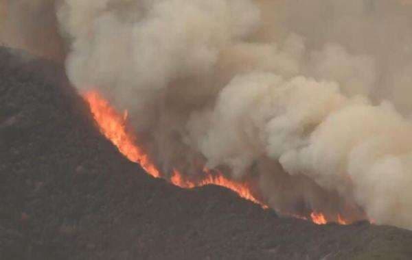 Ganas, Kebakaran California Meluas Lahap 32.300 Hektare Lahan Ganas, Kebakaran California Meluas Lahap 32.300 Hektare Lahan