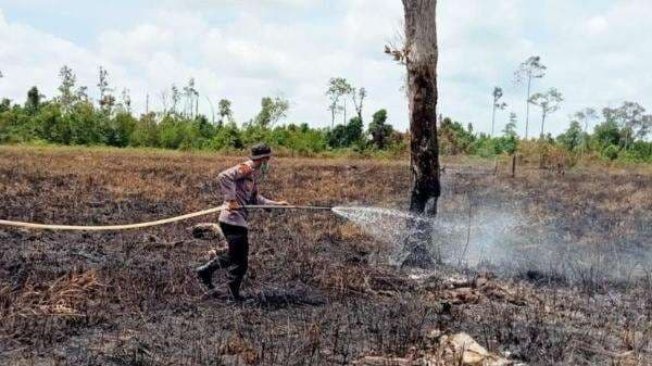 BNPB Sebut 40 Karhutla Seluas 15 Hektare di Aceh Berhasil Dipadamkan BNPB Sebut 40 Karhutla Seluas 15 Hektare di Aceh Berhasil Dipadamkan