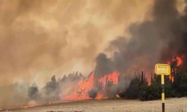 4 Negara yang Bantu Padamkan Kebakaran Israel, Ada Italia 4 Negara yang Bantu Padamkan Kebakaran Israel, Ada Italia