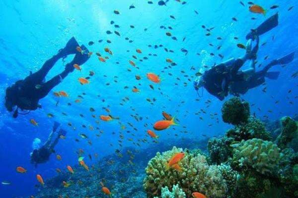 Kejar Target 30 Persen Konservasi Laut, KKP Bentuk Komite Kolaborasi Forum MPA-OECM Nasional Kejar Target 30 Persen Konservasi Laut, KKP Bentuk Komite Kolaborasi Forum MPA-OECM Nasional