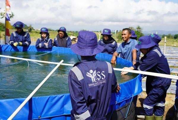 Kementan Merangsang Kewirausahaan dan Serap Tenaga Kerja lewat YESS Kementan Merangsang Kewirausahaan dan Serap Tenaga Kerja lewat YESS