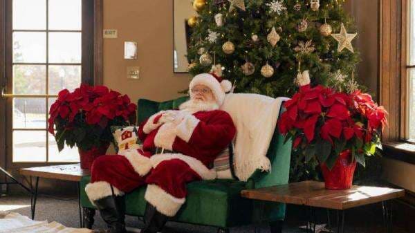 Kenapa Natal Identik dengan Warna Hijau dan Merah? Terinspirasi dari Tumbuhan Kenapa Natal Identik dengan Warna Hijau dan Merah? Terinspirasi dari Tumbuhan