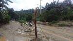 Kesal Jalan Trans Sulawesi di Kolaka Jadi Kolam Lumpur, Warga Tanam Pohon Pisang