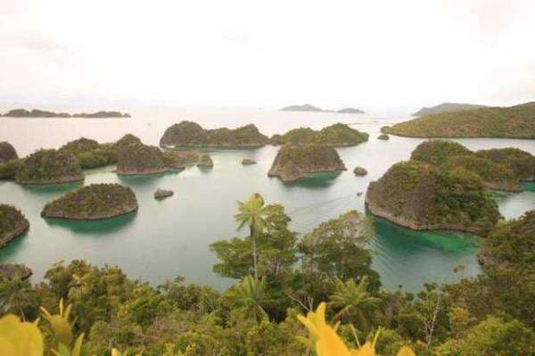 Ketua Komnas HAM: Pertambangan Nikel di Raja Ampat Berpotensi Kuat Melanggar HAM Ketua Komnas HAM: Pertambangan Nikel di Raja Ampat Berpotensi Kuat Melanggar HAM