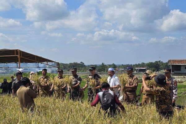 Kiprah Marsekal Madya TNI Samsul Rizal, dari Pesawat Tempur ke Dapur Kawal Indonesia Makmur Kiprah Marsekal Madya TNI Samsul Rizal, dari Pesawat Tempur ke Dapur Kawal Indonesia Makmur