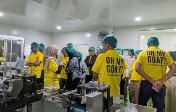 Kisah Sukses UMKM Bangun Pabrik Susu Kambing, Awalnya Produsen Jamu Kisah Sukses UMKM Bangun Pabrik Susu Kambing, Awalnya Produsen Jamu