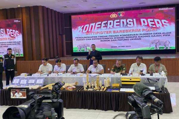 Bareskrim Bongkar Perdagangan Pipa Rokok dan Patung dari Gading Gajah, Tangkap 4 Orang Bareskrim Bongkar Perdagangan Pipa Rokok dan Patung dari Gading Gajah, Tangkap 4 Orang