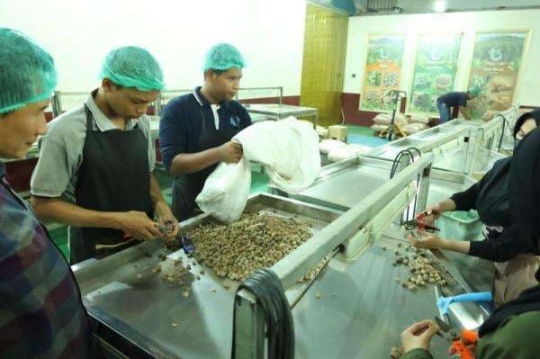 Akses Dana Bergulir, Koperasi Sabalam Berdayakan Petani dan Ekspor Rempah Akses Dana Bergulir, Koperasi Sabalam Berdayakan Petani dan Ekspor Rempah