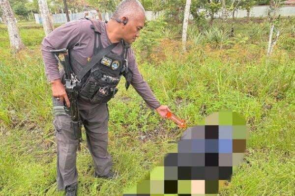 Sadis! Pegawai Honorer di Yahukimo Dibunuh KKB, Dianiaya Pakai Senjata Tajam Sadis! Pegawai Honorer di Yahukimo Dibunuh KKB, Dianiaya Pakai Senjata Tajam