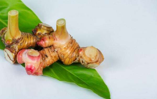 Bumbu Dapur Ini Bisa Cegah Kanker hingga Turunkan Kolesterol Bumbu Dapur Ini Bisa Cegah Kanker hingga Turunkan Kolesterol