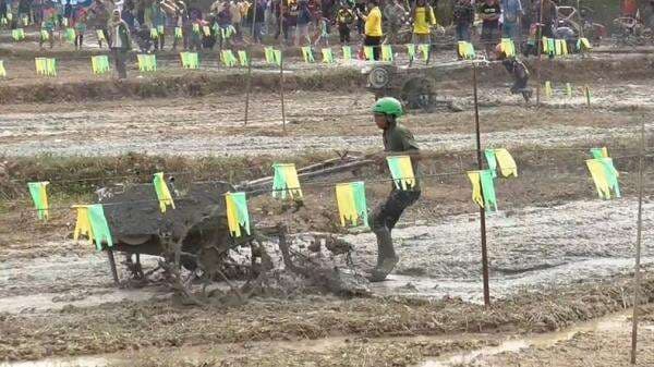 Seru! Puluhan Petani di Labuhanbatu Utara Turun ke Sawah Ikut Ajang Balap Traktor Seru! Puluhan Petani di Labuhanbatu Utara Turun ke Sawah Ikut Ajang Balap Traktor