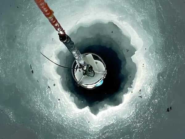 Makhluk Mirip Lobster Ditemukan di dalam Es Antartika, Begini Wujudnya Makhluk Mirip Lobster Ditemukan di dalam Es Antartika, Begini Wujudnya