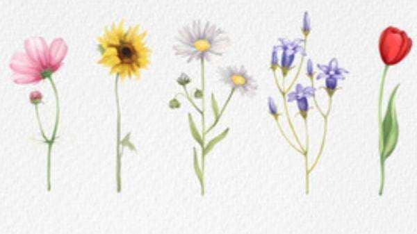 Makna Lagu Wildflower Yung Kai, Penggambaran Cinta yang Puitis Makna Lagu Wildflower Yung Kai, Penggambaran Cinta yang Puitis