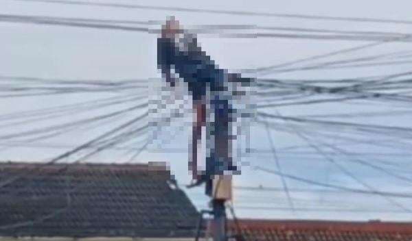 Tragis! Teknisi Internet Tewas Tersetrum saat Pasang Instalasi, Jasadnya Tergantung di Kabel Tragis! Teknisi Internet Tewas Tersetrum saat Pasang Instalasi, Jasadnya Tergantung di Kabel