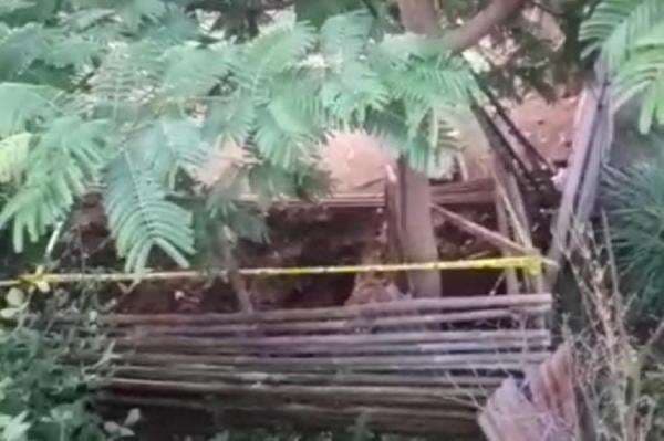 Penemuan Mayat Perempuan Dicor Gegerkan Wonogiri, Sosoknya Diduga Dwi Hastuti Penemuan Mayat Perempuan Dicor Gegerkan Wonogiri, Sosoknya Diduga Dwi Hastuti