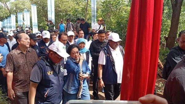 Pagi Ini, Megawati dan Pramono-Doel Tanam 7.500 Mangrove di Hutan Lindung Angke Kapuk Pagi Ini, Megawati dan Pramono-Doel Tanam 7.500 Mangrove di Hutan Lindung Angke Kapuk