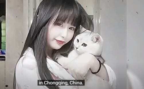 Mengenal Sosok Tan Zhu Mantan Pacar Fat Cat yang Tega Peras Rp1 Miliar untuk Nikahi Pria Lain Mengenal Sosok Tan Zhu Mantan Pacar Fat Cat yang Tega Peras Rp1 Miliar untuk Nikahi Pria Lain