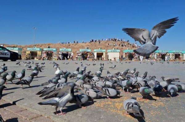 Menjejakkan Kaki di Jabal Uhud, Memaknai Sejarah Perang Uhud Menjejakkan Kaki di Jabal Uhud, Memaknai Sejarah Perang Uhud