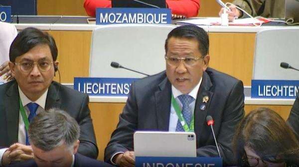 Menkum Supratman Umumkan Transformasi Digital Layanan Kekayaan Intelektual di Sidang Umum ke-66 WIPO Menkum Supratman Umumkan Transformasi Digital Layanan Kekayaan Intelektual di Sidang Umum ke-66 WIPO